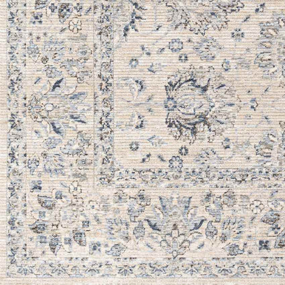 Villisca Traditional Beige Area Rug
