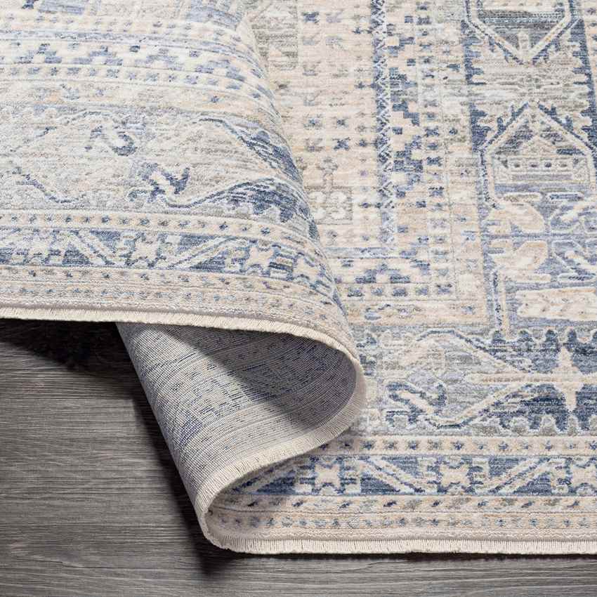 Vinton Traditional Beige Area Rug