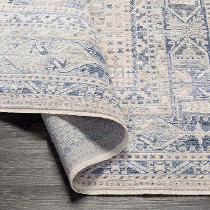 Vinton Traditional Beige Area Rug