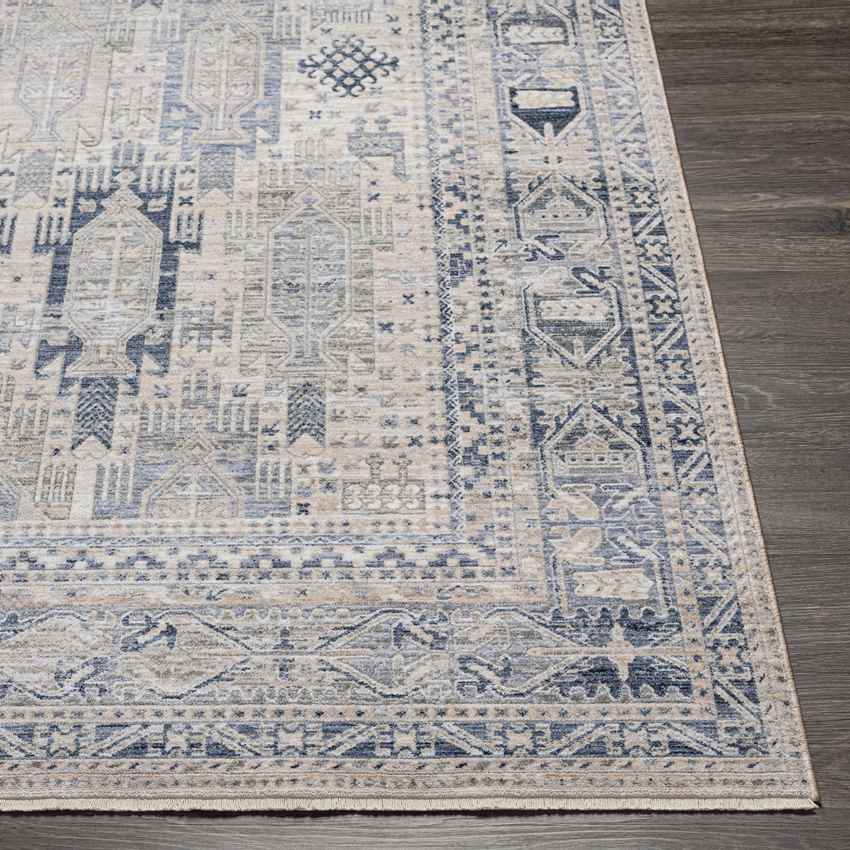 Vinton Traditional Beige Area Rug