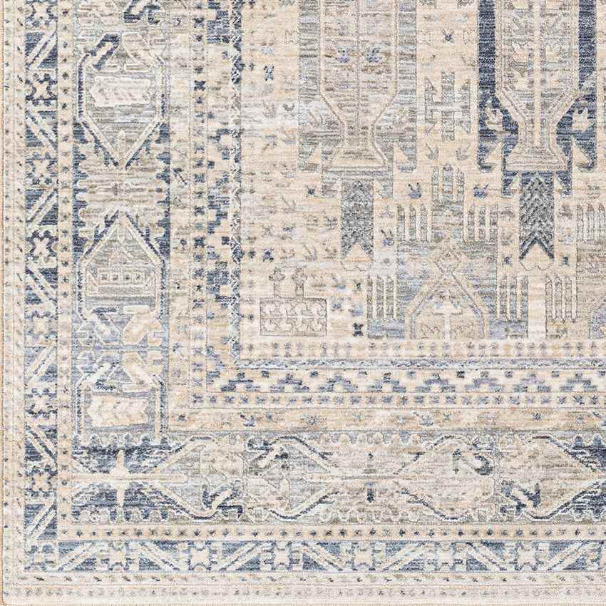 Vinton Traditional Beige Area Rug