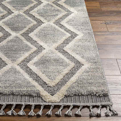 Waukee Global Charcoal Area Rug