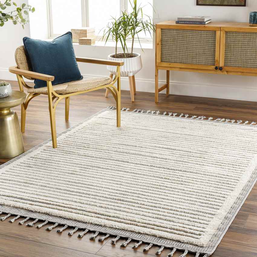 Waukon Global Charcoal Area Rug