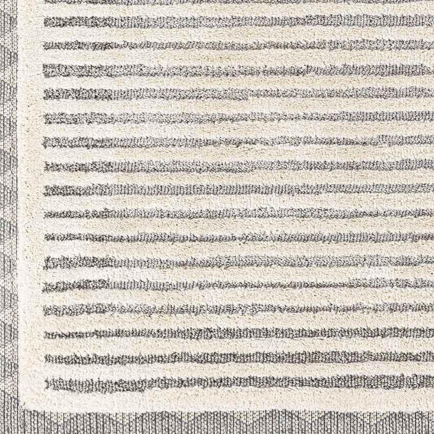 Waukon Global Charcoal Area Rug