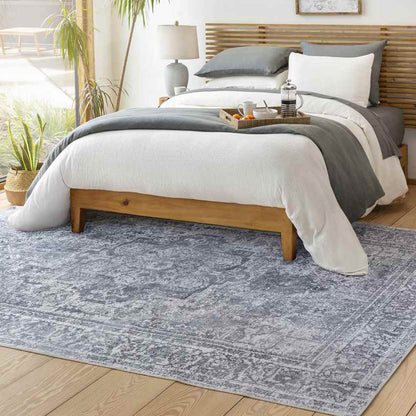 Whitten Traditional Light Gray Washable Area Rug
