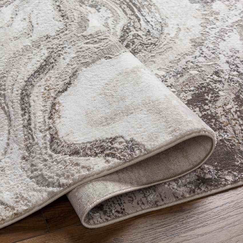 Earlton Modern Charcoal Area Rug