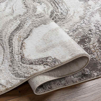 Earlton Modern Charcoal Area Rug