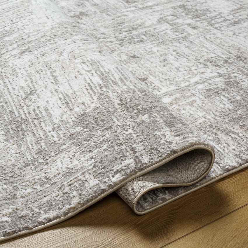 Grinnell Modern Beige Area Rug