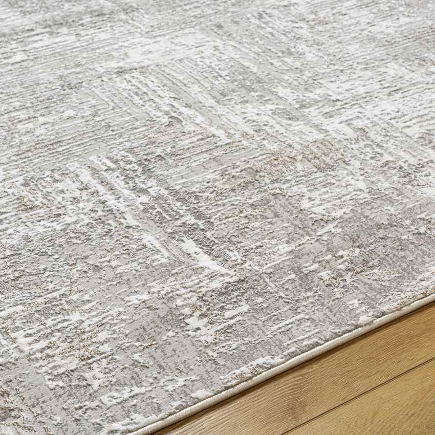Grinnell Modern Beige Area Rug
