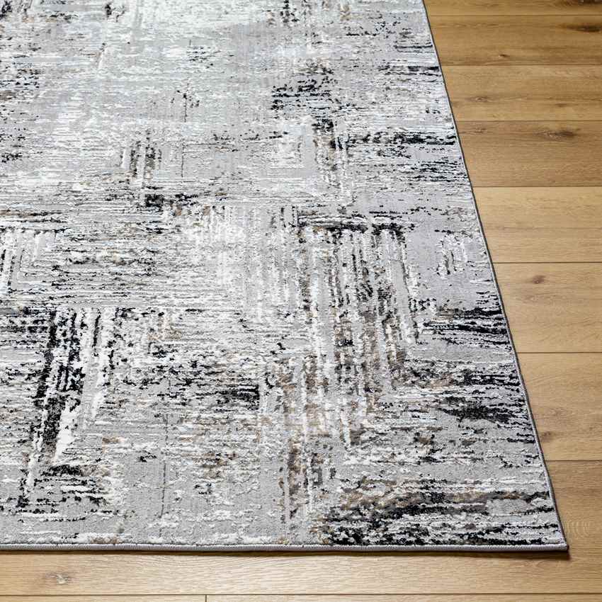 Grinnell Modern Gray Area Rug