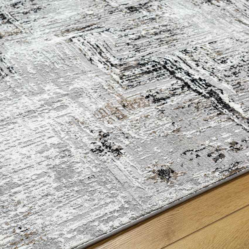 Grinnell Modern Gray Area Rug