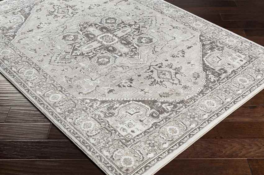 Griswold Traditional Gray Area Rug