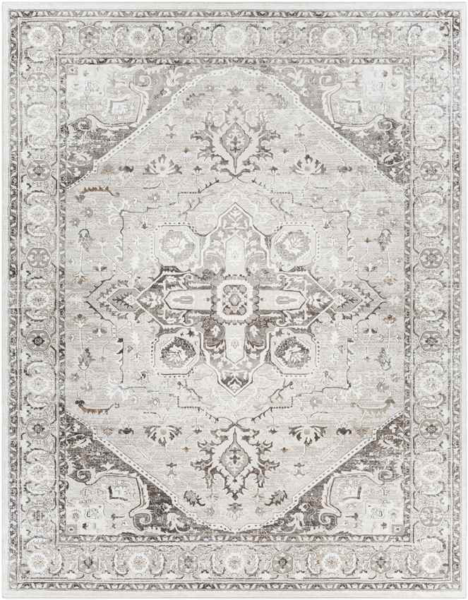 Griswold Traditional Gray Area Rug