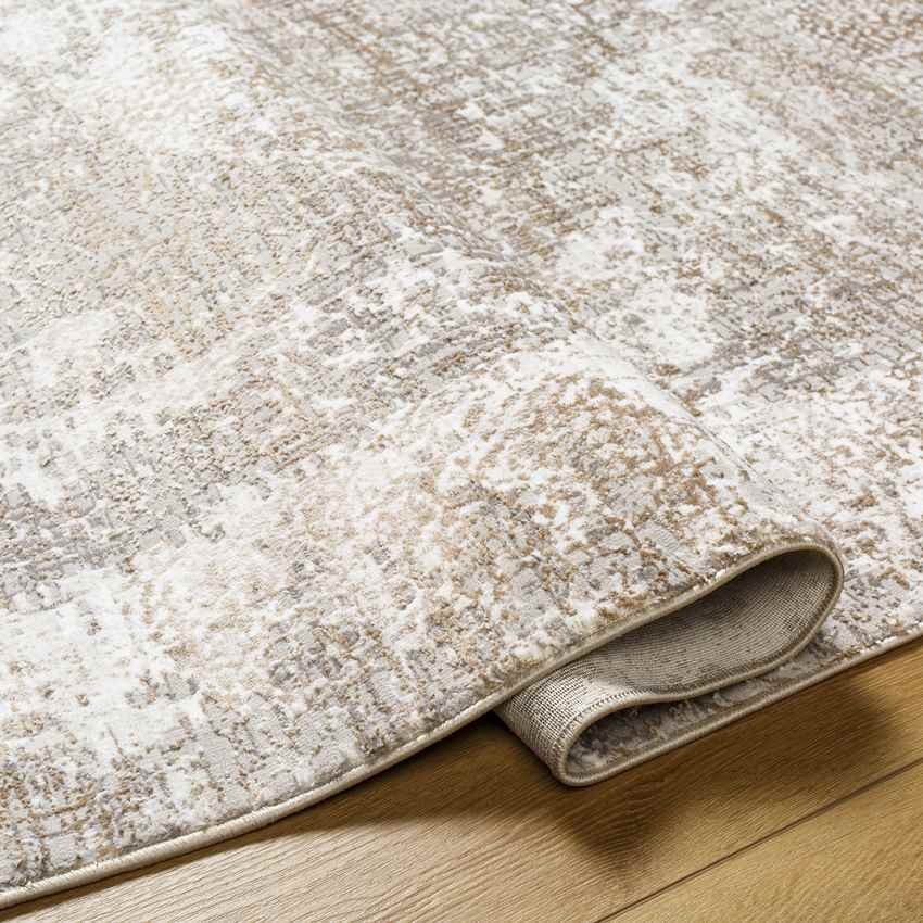 Grundy Center Traditional Beige Area Rug