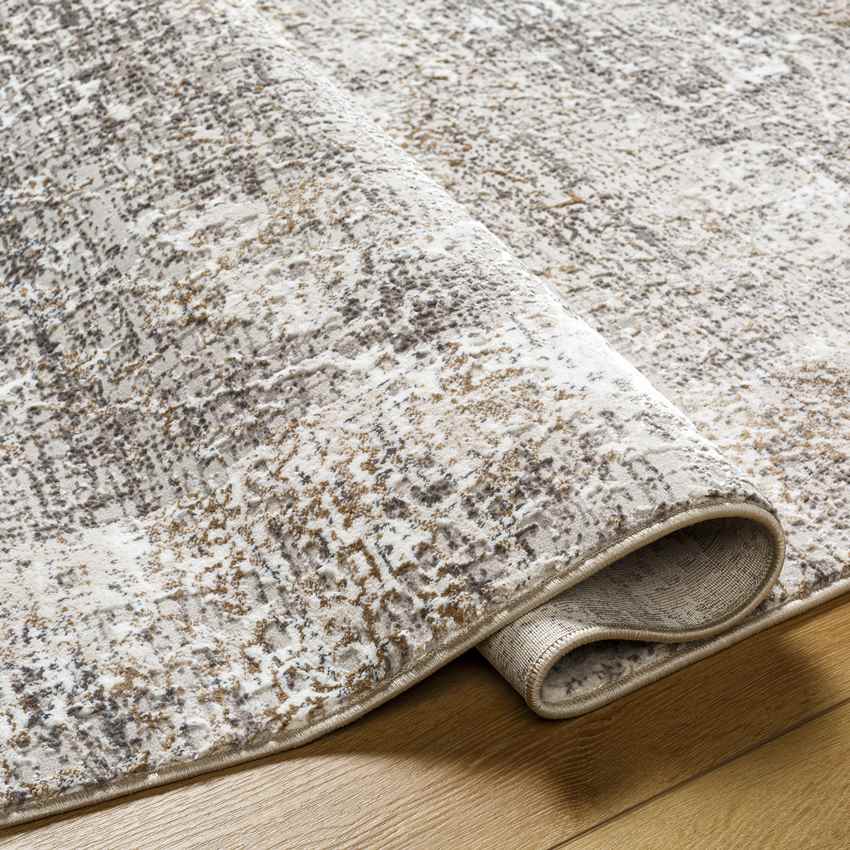 Grundy Center Traditional Taupe Area Rug