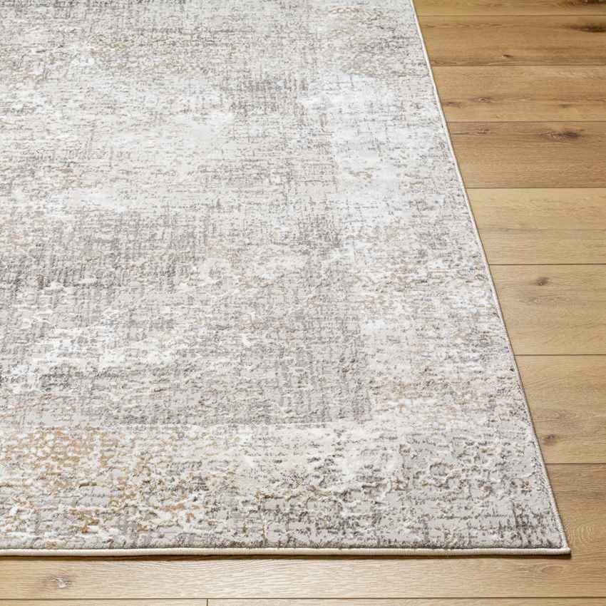 Grundy Center Traditional Taupe Area Rug