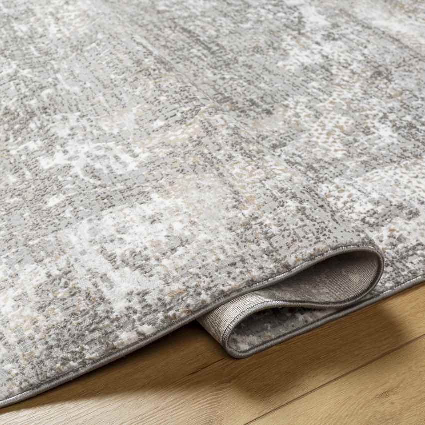 Grundy Center Traditional Gray Area Rug