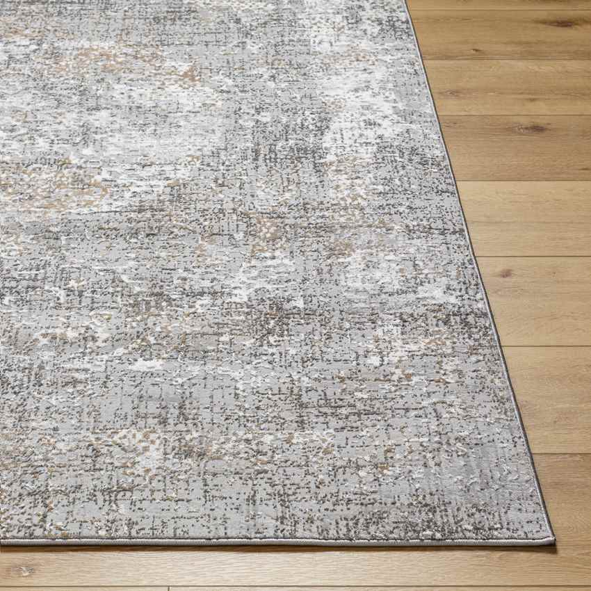 Grundy Center Traditional Gray Area Rug