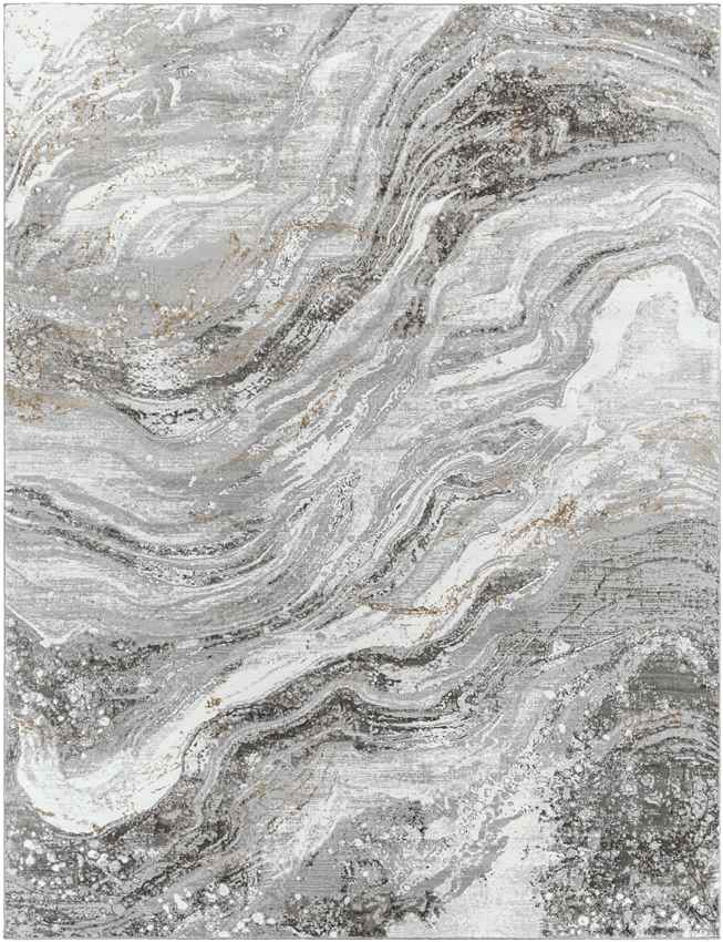 Earlton Modern Gray Area Rug