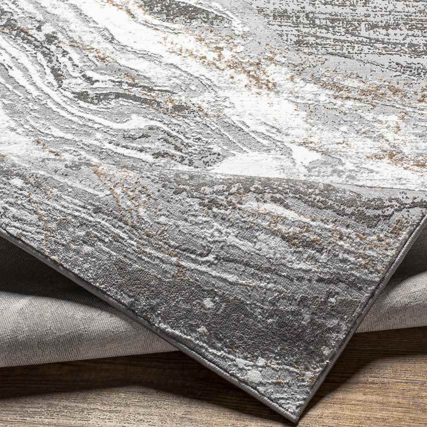Earlton Modern Gray Area Rug