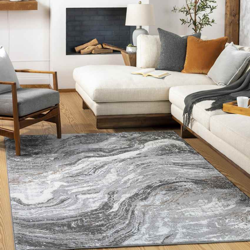 Earlton Modern Gray Area Rug