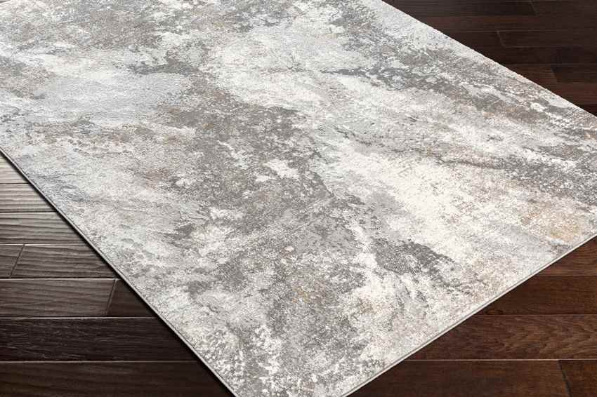 Guthrie Center Modern Light Gray Area Rug