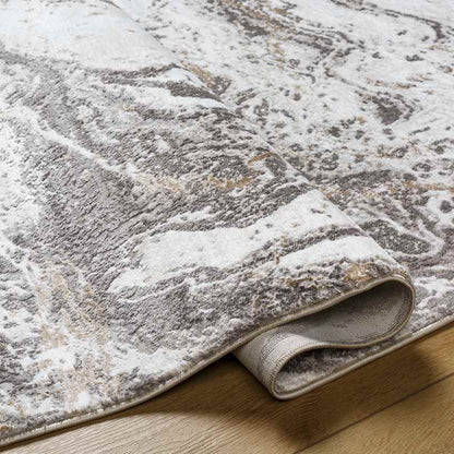 Guttenberg Modern Beige Area Rug