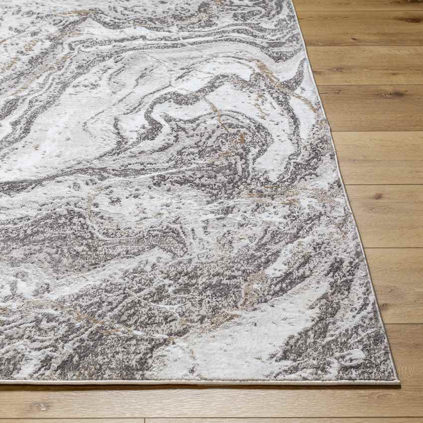 Guttenberg Modern Beige Area Rug