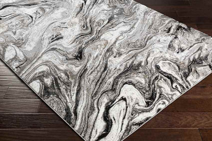 Halbur Modern Charcoal Area Rug