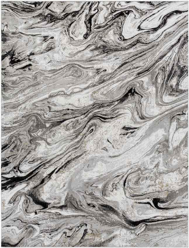 Halbur Modern Charcoal Area Rug