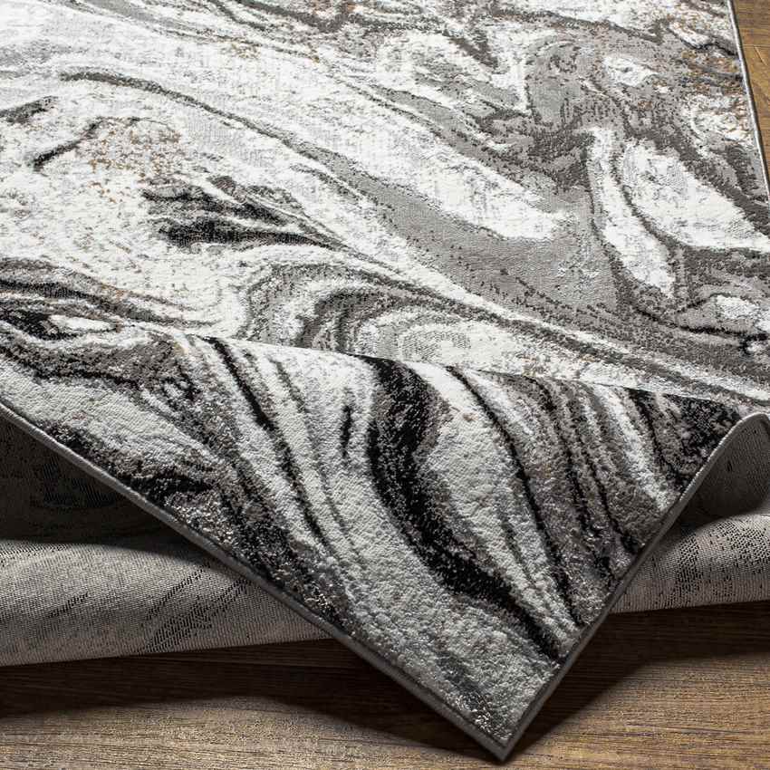 Halbur Modern Charcoal Area Rug