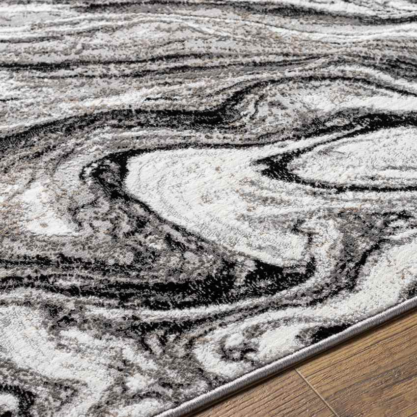 Halbur Modern Charcoal Area Rug