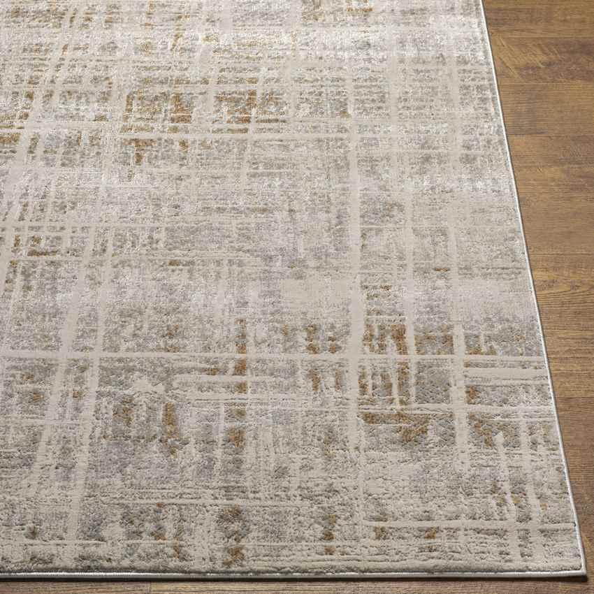 Xylofagou Modern Beige Area Rug