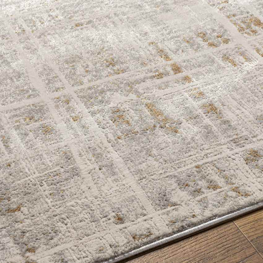 Xylofagou Modern Beige Area Rug