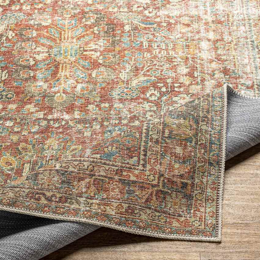 Georgios Traditional Burnt Orange Washable Area Rug