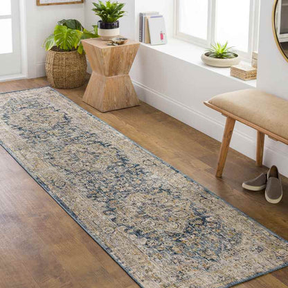 Harcourt Traditional Ice Blue Area Rug