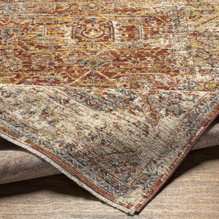 Harlan Traditional Burgundy Area Rug
