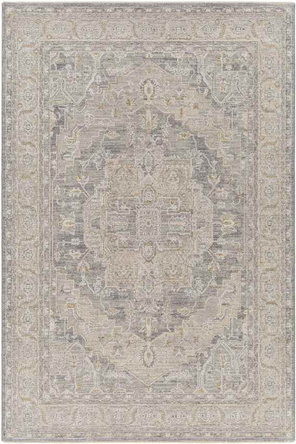 Varvara Traditional Light Gray Area Rug