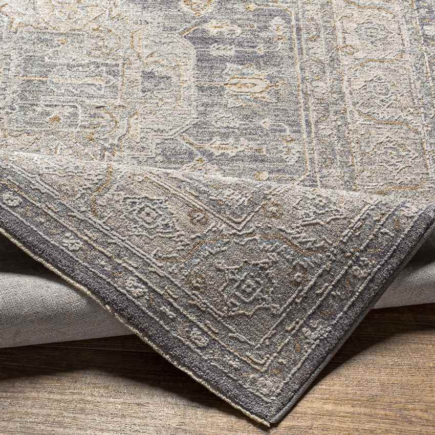 Varvara Traditional Light Gray Area Rug