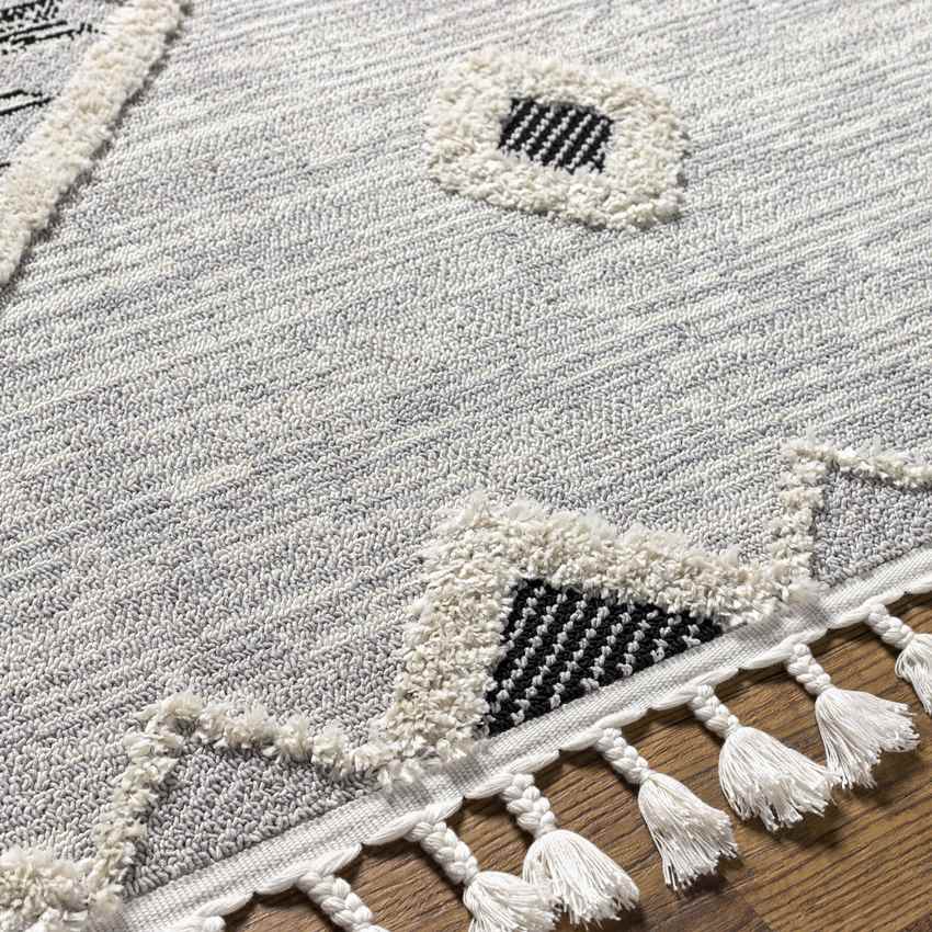 Vokolida Rustic Gray Area Rug