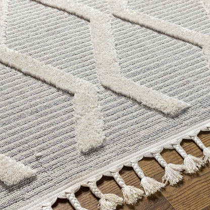 Ammochostos Global Gray Area Rug