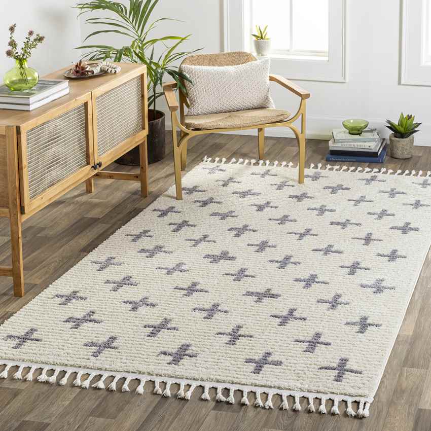 Koilani Global Gray Area Rug