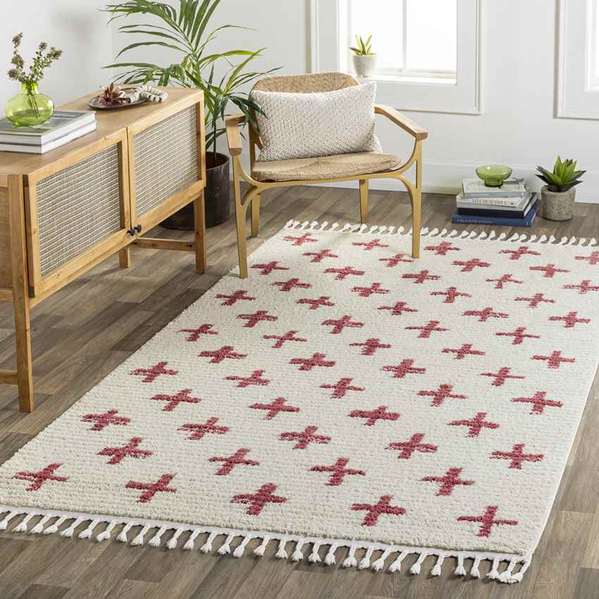 Koilani Global Red Area Rug