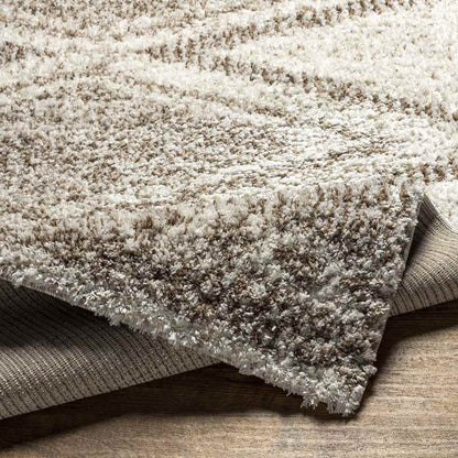 Hedrick Global Beige Area Rug