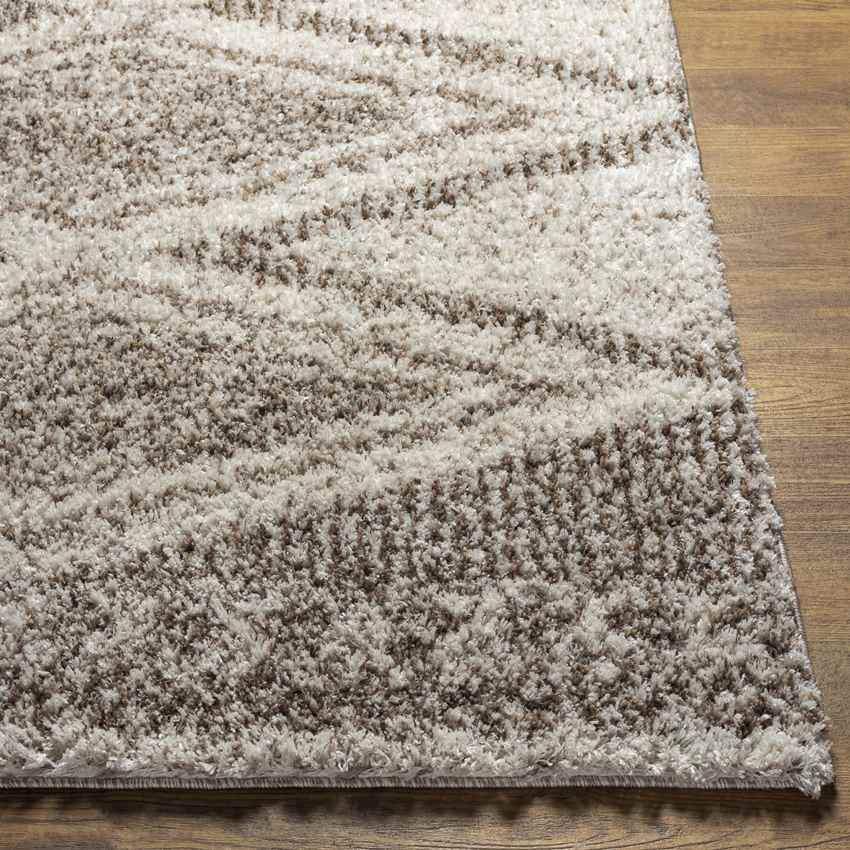 Hedrick Global Beige Area Rug