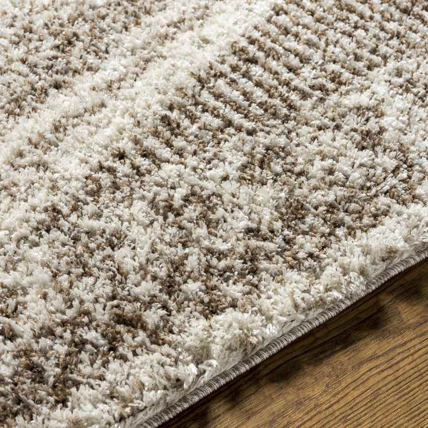 Hedrick Global Beige Area Rug