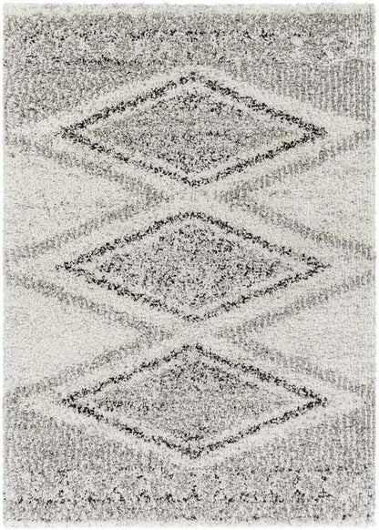 Hedrick Global Charcoal Area Rug