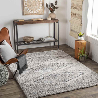 Hedrick Global Charcoal Area Rug