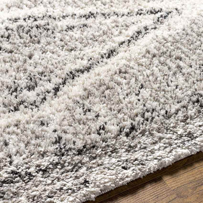 Hedrick Global Charcoal Area Rug