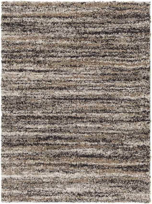 Holstein Modern Charcoal Area Rug